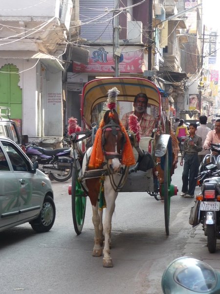 On the crazy streets of Udaipur