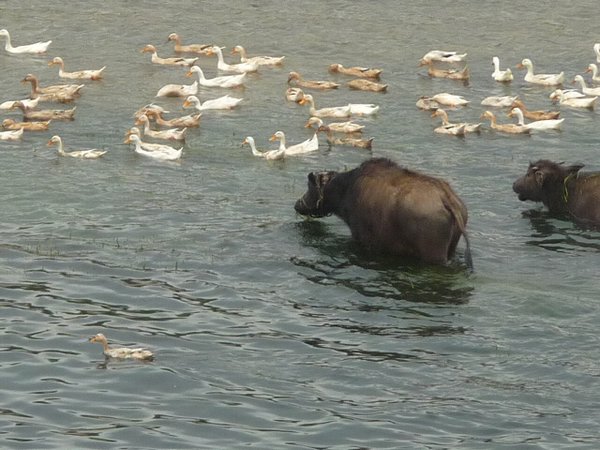 Xingping to Yangdi hike