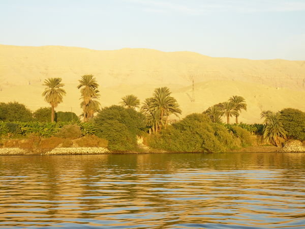 Cruise down the Nile