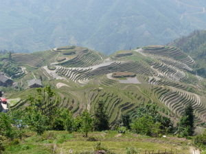Longji Rice Terrances