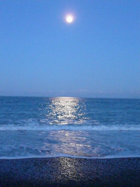 Seashore Moon Light Napier