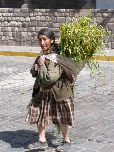 Cusco Grass Lady