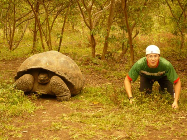 Trevor vs Tortoise