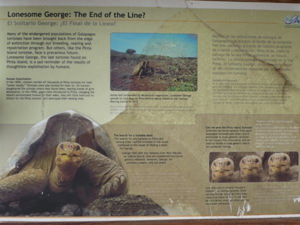 The Story of Lonesome George