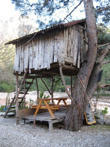 Treehouse in Olympos