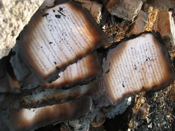 Burnt Books