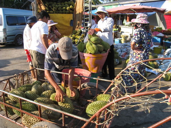 Durian Exportation?