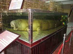 Pickled Sea Cow