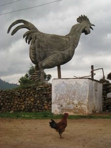 A Giant Chicken???