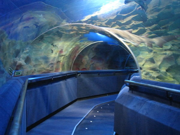 Aquarium Land 