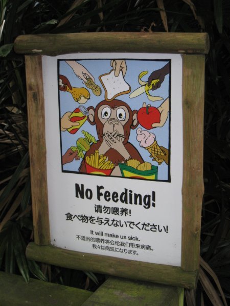"Please Don't Feed Us!