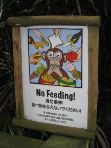 "Please Don't Feed Us!