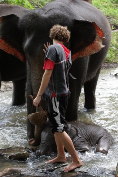 "Hey Trevor, Remember The Time We Washed Elephants In A River??"