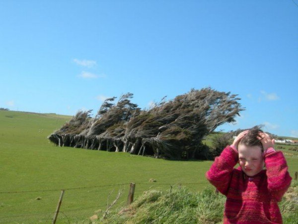 Aisha and windy trees!!