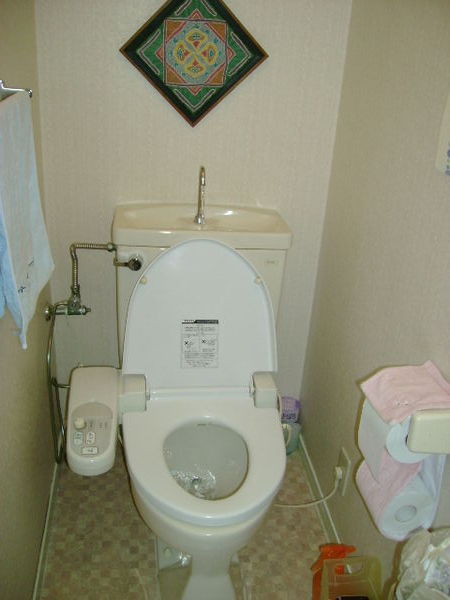 Toilette japonaise!
