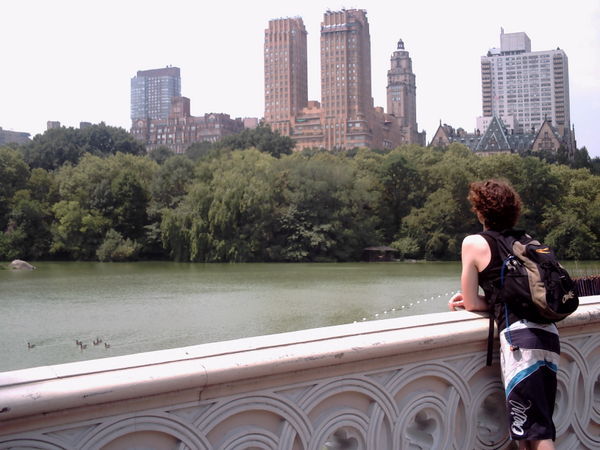 central park....aka the spiderman bridge