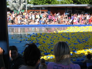 Rubber duck race in full action