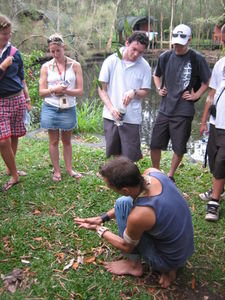 Bushwalking guide showing how to use bark from citronella eucalyptus as mosquito repellant