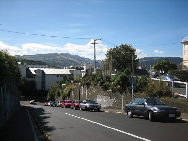 Dunedin is a hilly place and it was good excercise just to walk back from the city to hostel