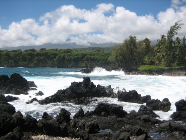 Sharp lava rock beach | Photo