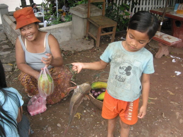 Luang Prabang - Mekong Fish!