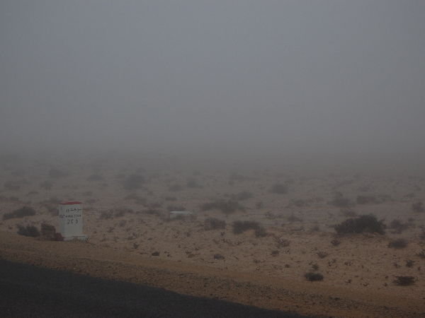 Western Sahara 10