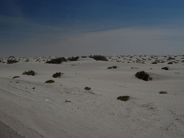 Western Sahara 12