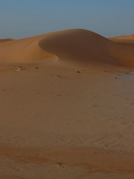 Desert 11