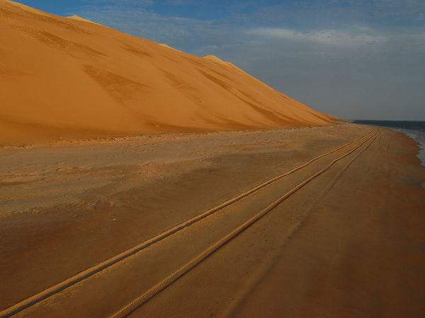 Desert 14