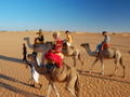 Camel Riding 4