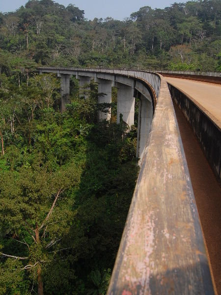 Bridge over the jungle