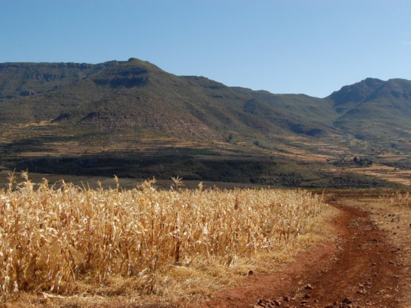 Mountians and maize