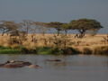 Serengeti 4