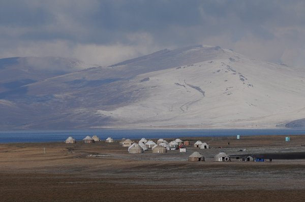 Yurt camp from a distance