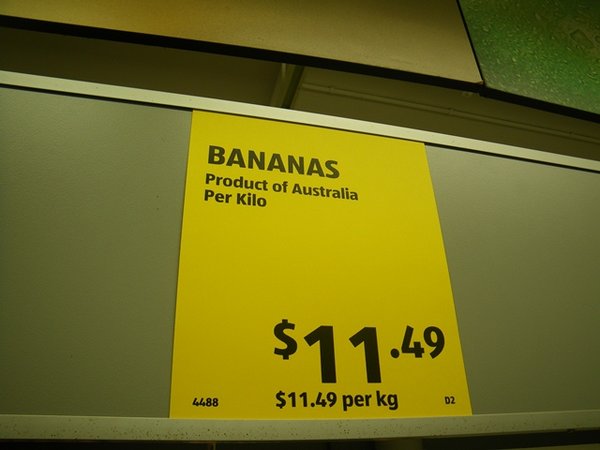 Crazy bananna price