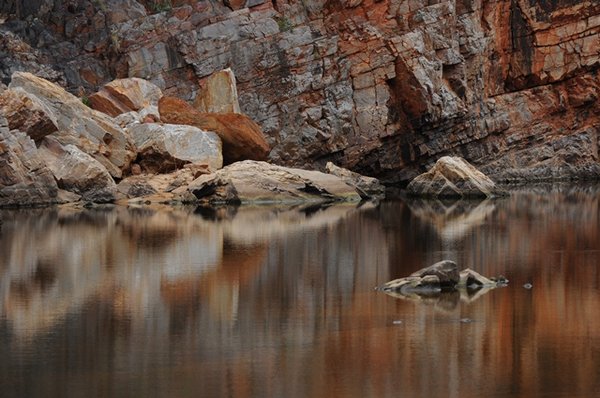 reflection at ormiston gorge