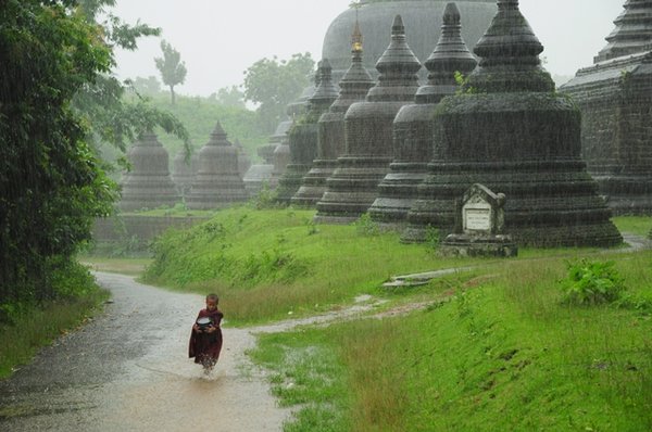 young monk in the rain