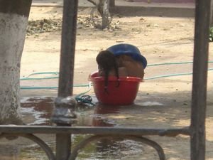 Niñas Bolivianas bañandose en un dia de calor