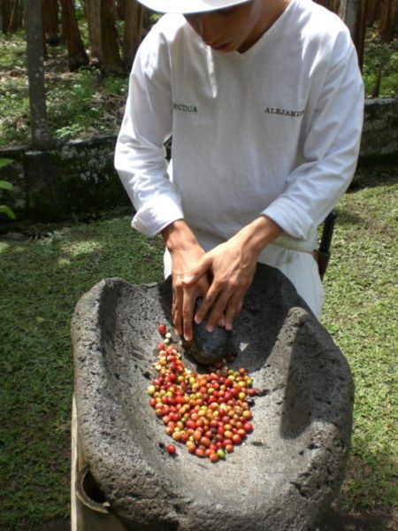 Molineda tradicional del grano del cafe