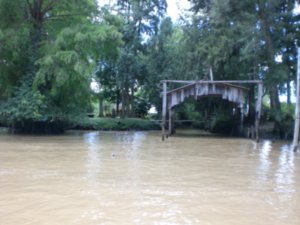 Delta del Tigre en el rio de La Plata. BA