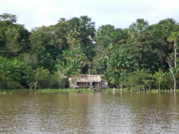 Casas indigenas alrededor del rio