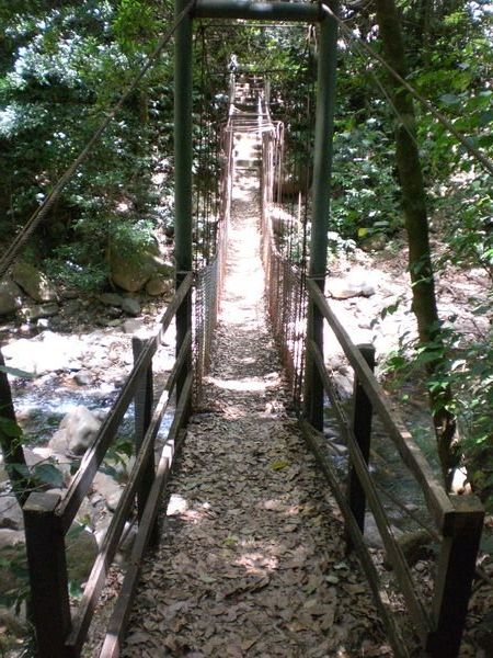 Puente en el parque nacional rincon de la vieja