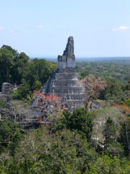 Vista del templo II y plaza central de Tikal