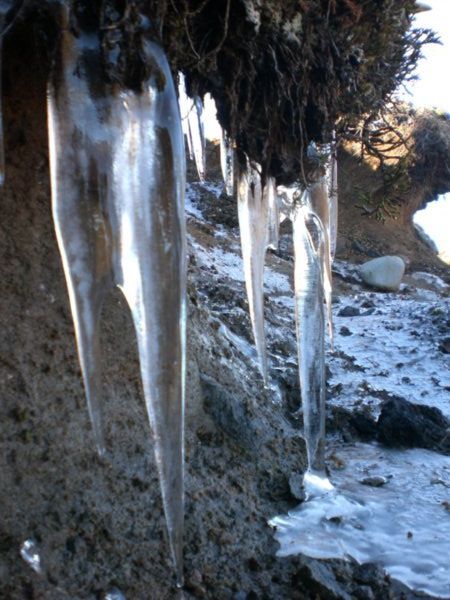 Estalactitas de hielo en le parque de Tongarino