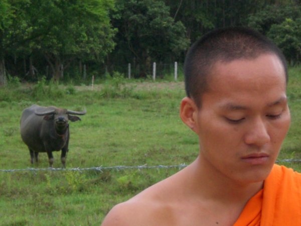Monje budista agradeciendo las ofrendas recibidas