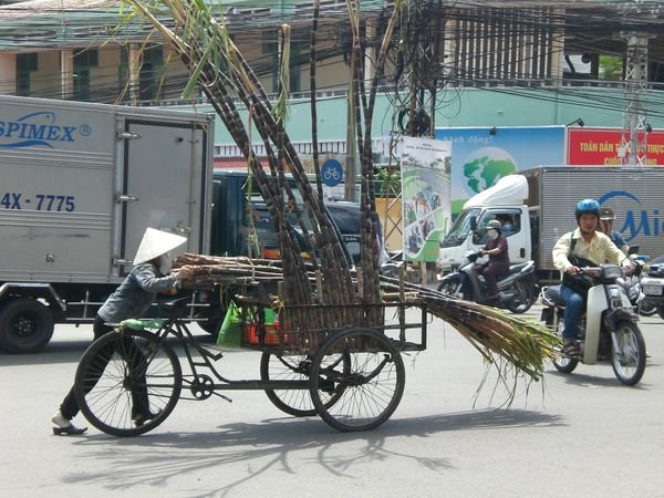 mujer empujando un carro con bambu en Saigon