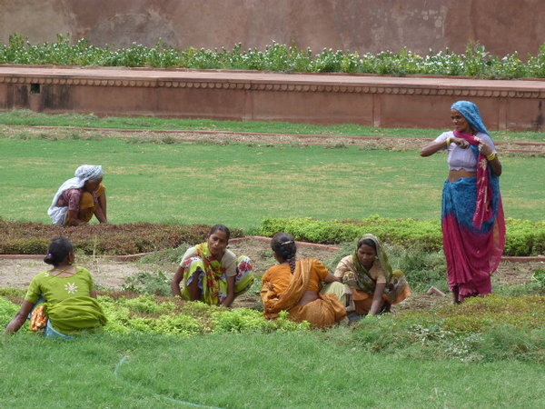Mujeres trabajando en Agra