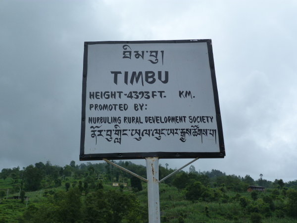 Timbu, final de nuestro recorrido