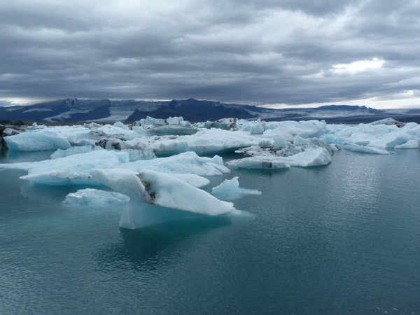 Jokulsarson, laguna de icebergs