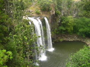 Whangarei Waterfalls
